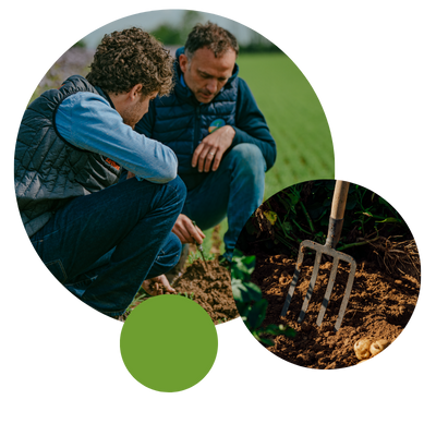 Farmers looking at potatoes in ground, plus farming fork