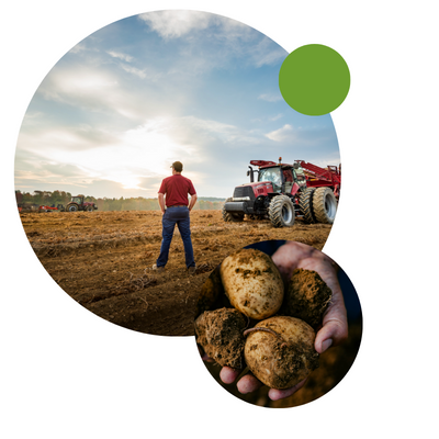 Farming field with tractor, and hand holding poatoes