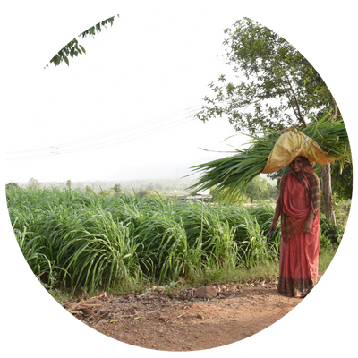 Person farming as part of community work