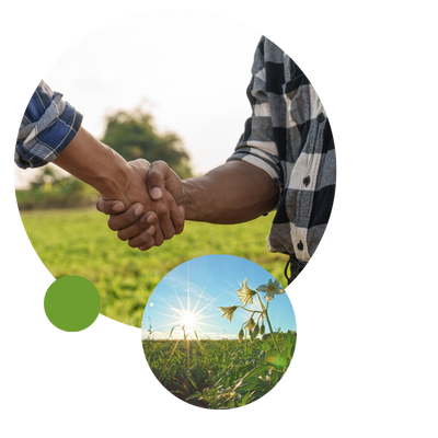 People shaking hands, and with potato field